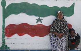 Palestinian woman near palestine flag painted on border wall